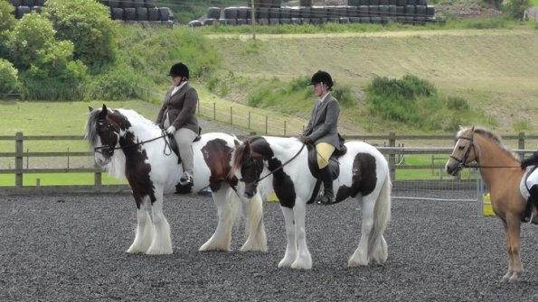 Lance and Lucy line-up