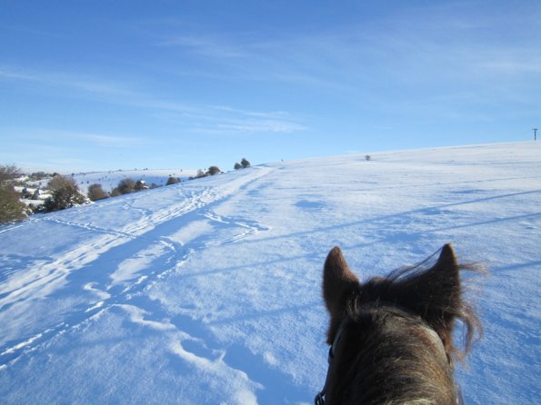 Lance snow dunes (11)