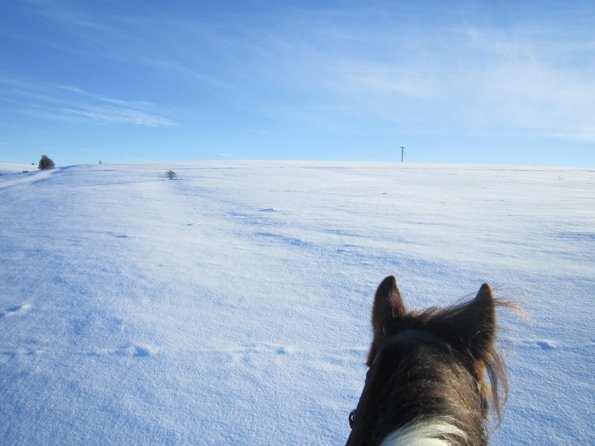 Lance snow dunes (12)