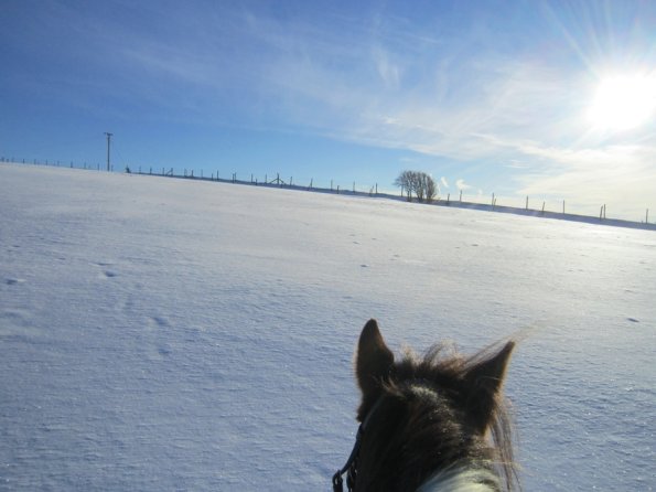 Lance snow dunes (2)