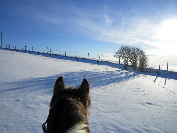 Lance snow dunes (3)