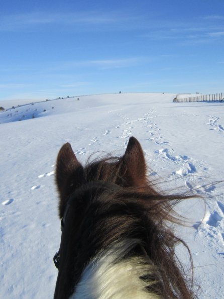 Lance snow dunes (5)