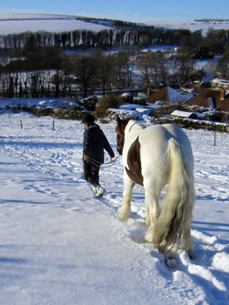 Lance up the field (5)