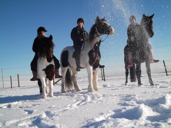 Posing in the snow 2