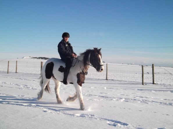 Trotting in the snow