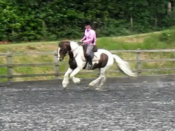 Bank holiday lesson (2)