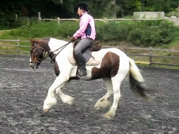 Bank holiday lesson (6)