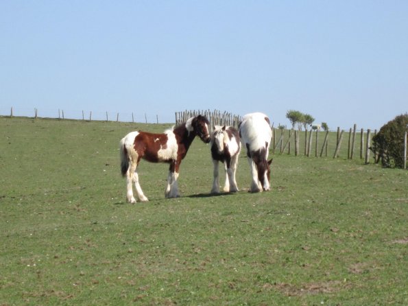 Lance and Morgan (2)