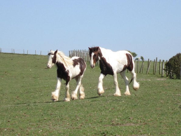 Lance and Morgan (3)