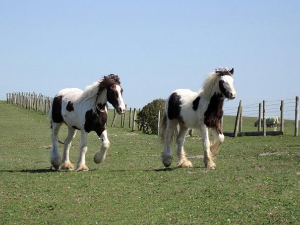 Lance and Morgan (4)