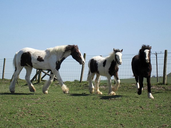 Lance and Morgan (5)