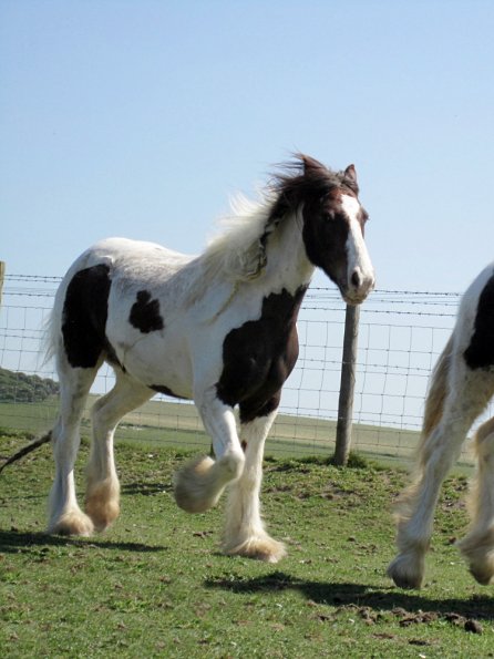 Lance and Morgan (6)