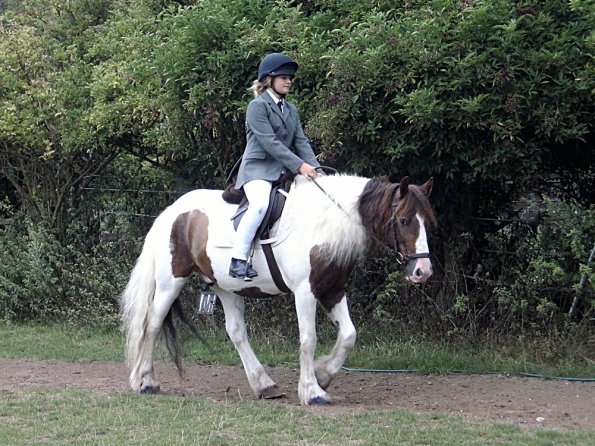 Condition and Turnout (3)