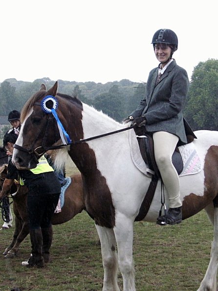 Handsomest gelding (10)