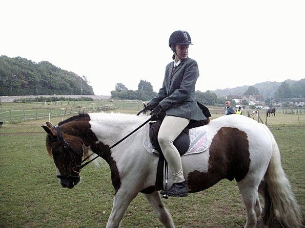 Handsomest gelding (6)