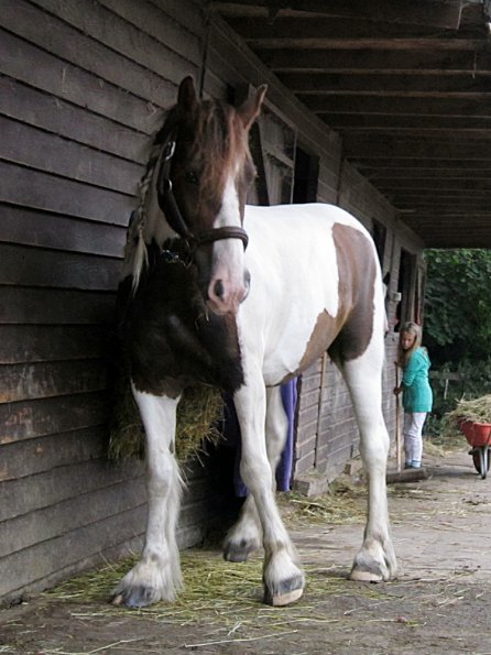 Lance on the yard (4)