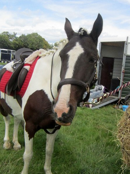 Fee at the lorry (2)