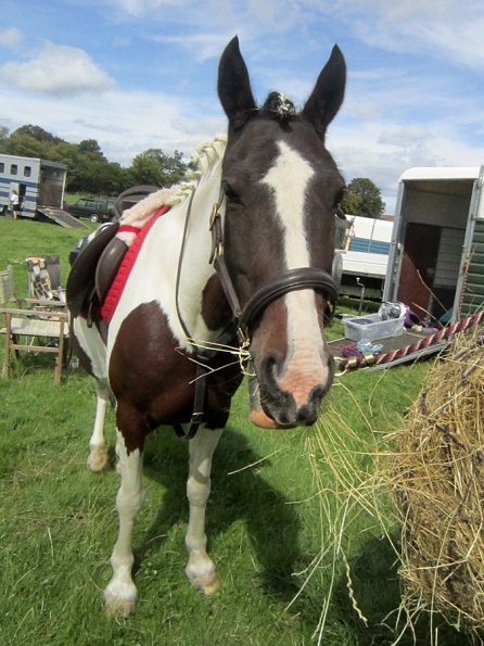 Fee at the lorry (3)