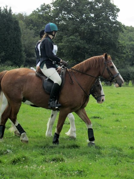 Icarus and Lance (3)