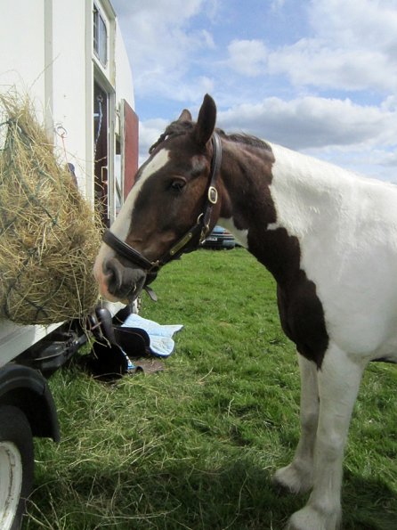 Lance at the lorry (2)