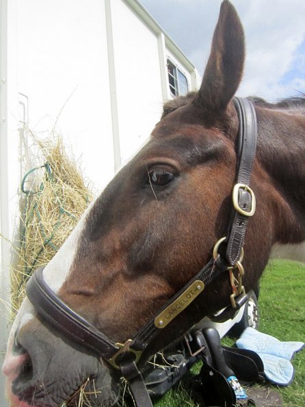 Lance at the lorry (3)