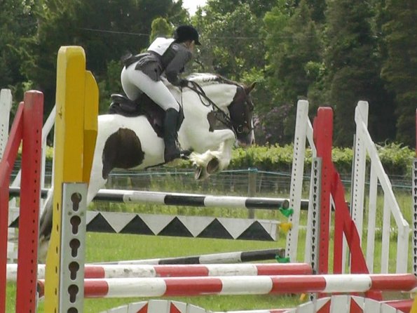 06-23-2013_085011(2)