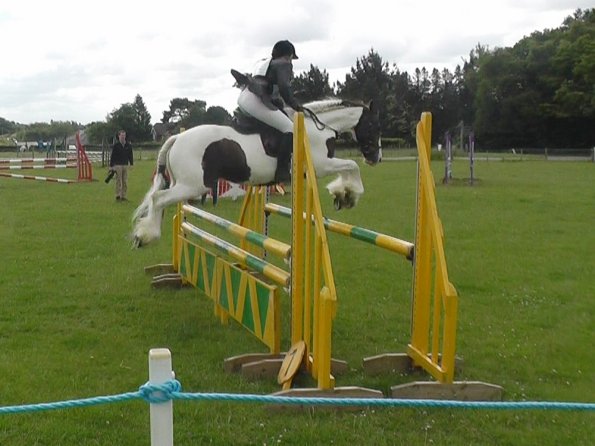 06-23-2013_085011(5)