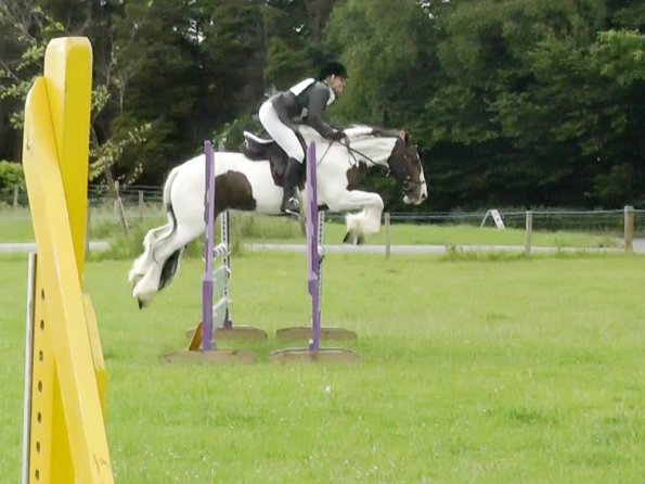 06-23-2013_085011(7)