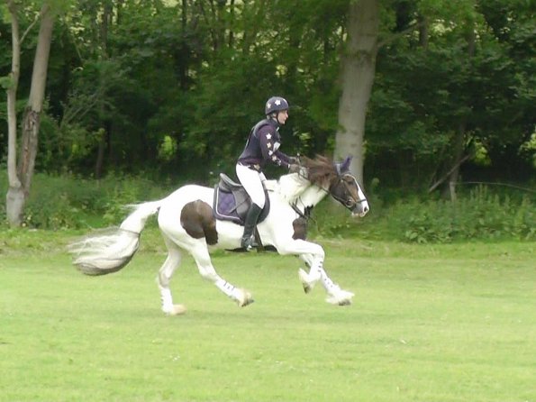 06-23-2013_093718(1)