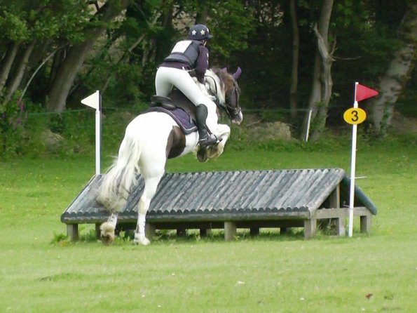 06-23-2013_093718(2)