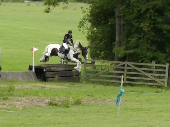 06-23-2013_094241(1)