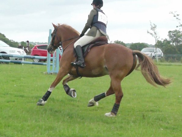 06-23-2013_143048(1)