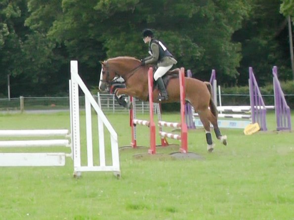 06-23-2013_143048(2)