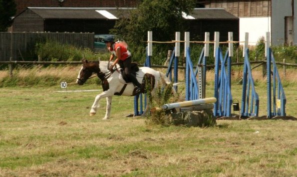 Canter low branches 2