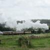 Steam train