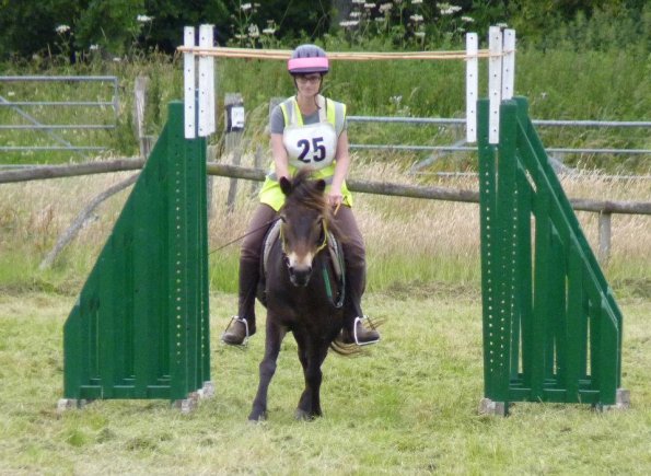 Low branches 2 Julia