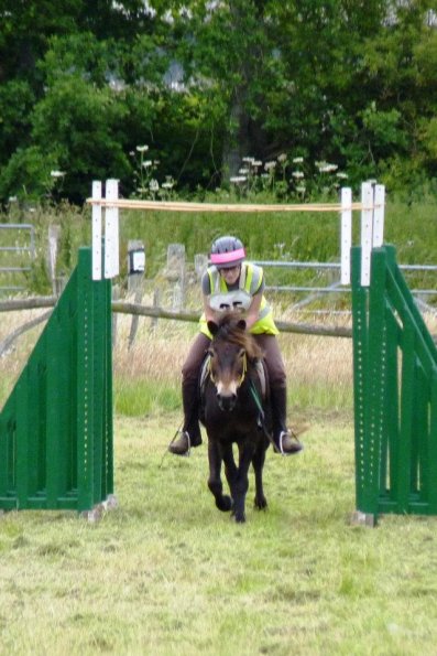 Not so low branches Julia