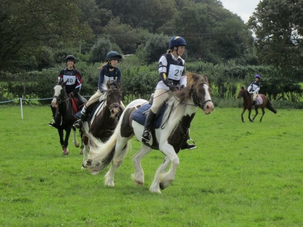 Best leg forwards Lance