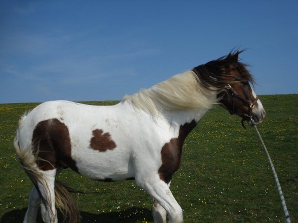 Posing into the wind