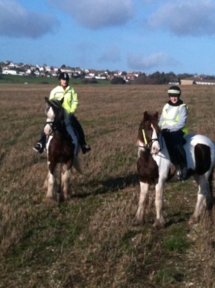 18372_280183038141_510153141_4417797_5672697_n