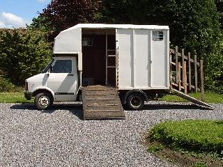 76039_2_horse_d_reg_west_sussex_img