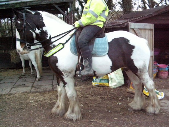 HiViz Anna and Lucy (2)