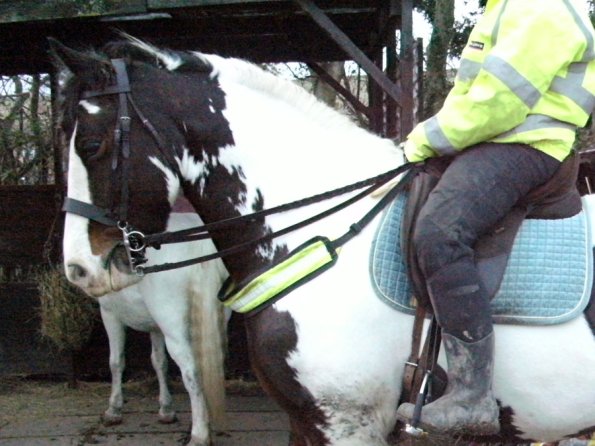 HiViz Anna and Lucy (3)