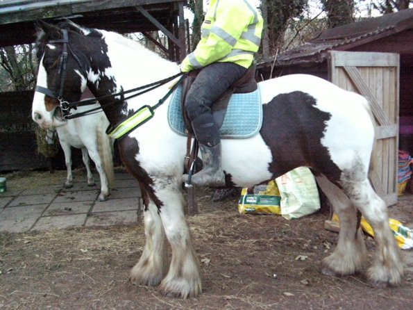 HiViz Anna and Lucy (4)