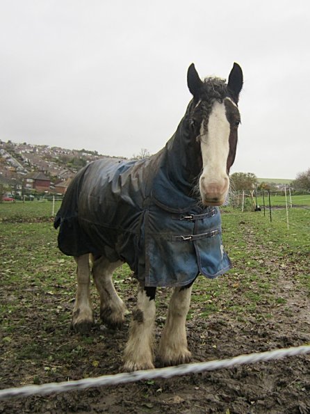 Ride in the gale (2)