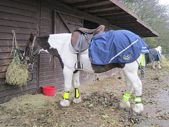 Ride in the gale (3)