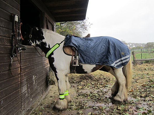 Ride in the gale (5)