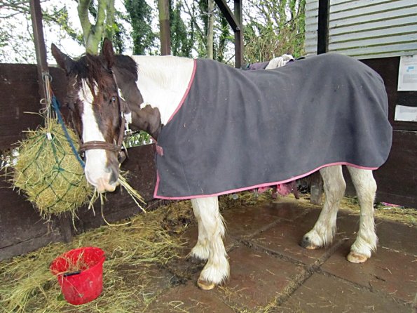 Ride in the gale (6)