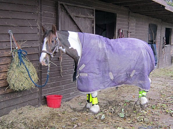 Ride in the gale (8)