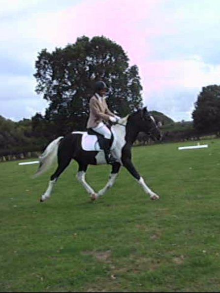 JD dressage (2)